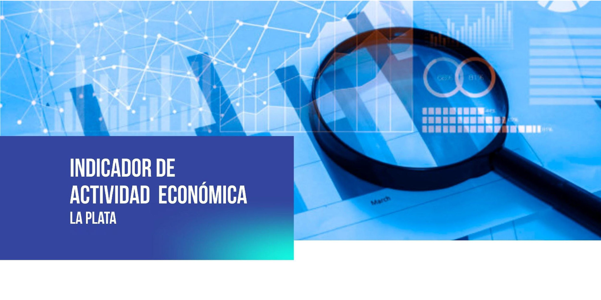 IAELAP: Informes trimestrales sobre la actividad económica del partido de La Plata