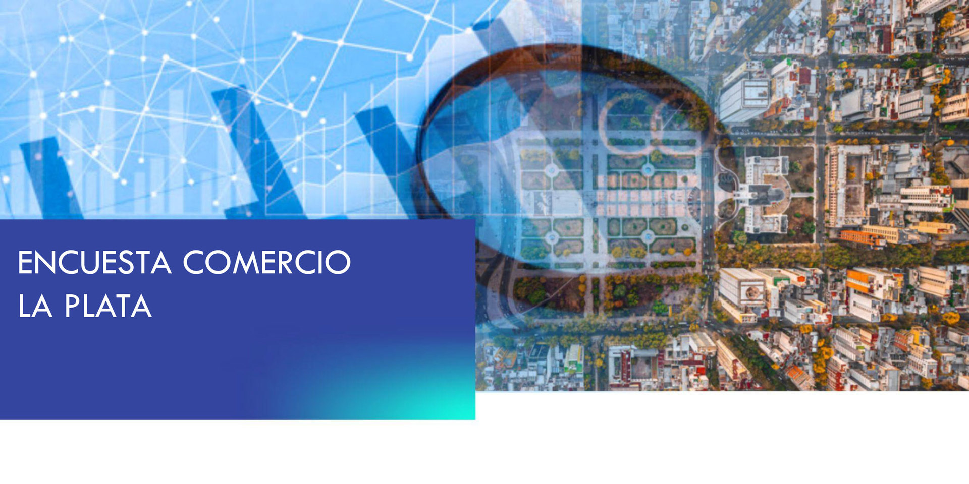 Encuesta a Comercios / Taxis de La Plata